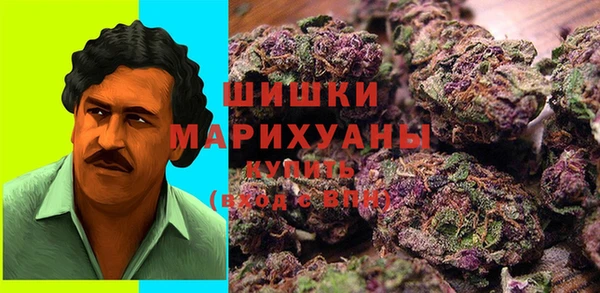 прущие грибы Белокуриха
