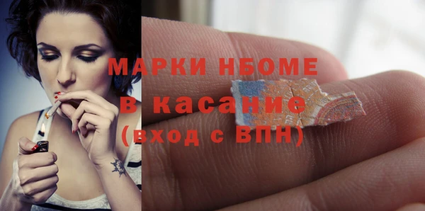прущие грибы Белокуриха