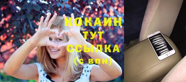 прущие грибы Белокуриха